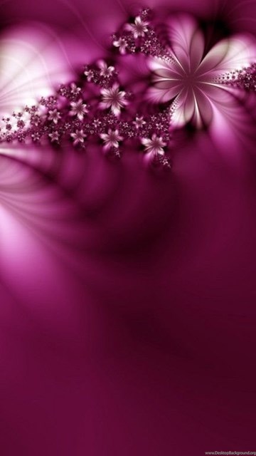 wedding wallpaper download,pink,violet,purple,magenta,lilac
