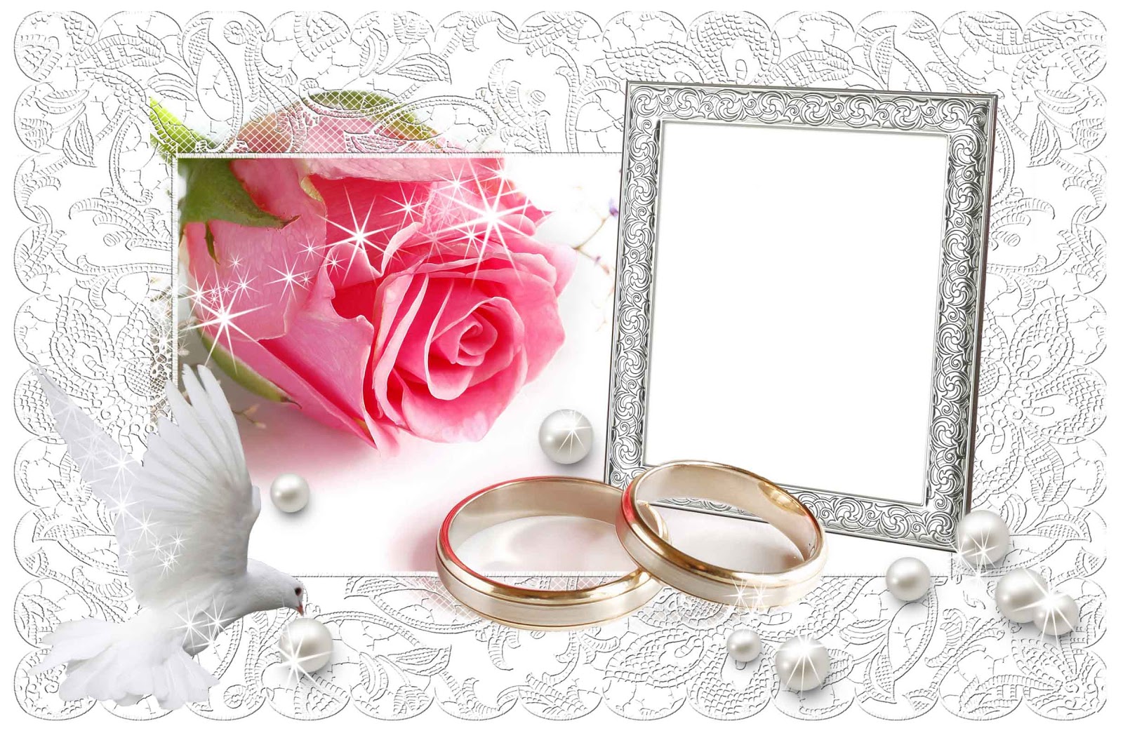 웨딩 벽지 다운로드,분홍,결혼식 공급,사진 프레임,결혼 반지,약혼 반지