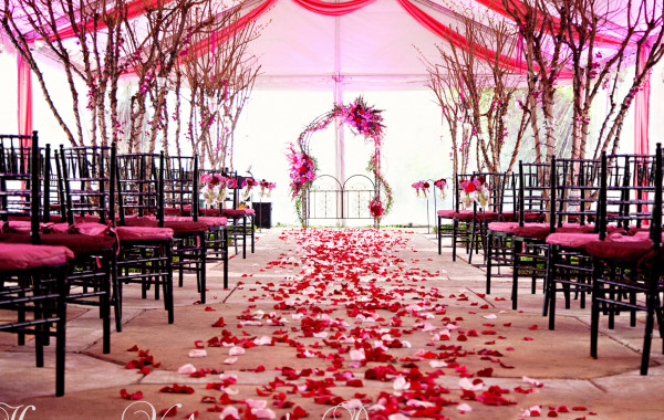 descargar fondos de boda,decoración,rosado,pasillo,silla de chiavari,rojo