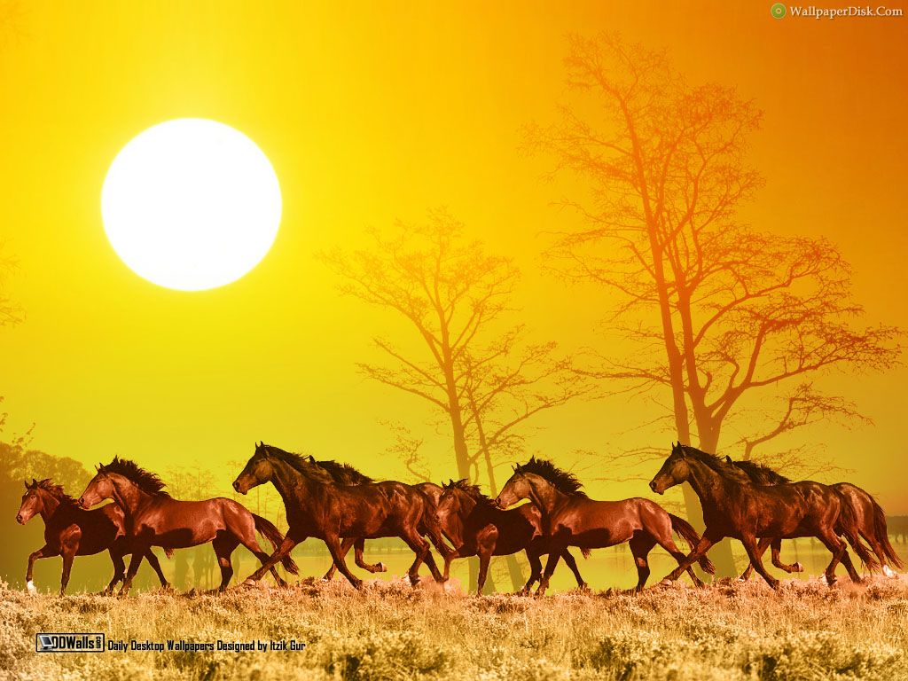 fond d'écran d'horloge en cours d'exécution pour le bureau,faune,cheval,paysage naturel,troupeau,prairie