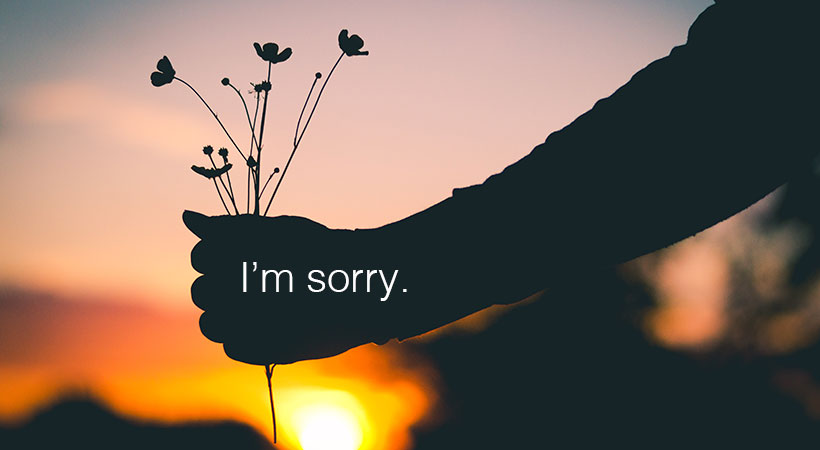 sorry ka wallpaper,himmel,morgen,glücklich,schriftart,silhouette