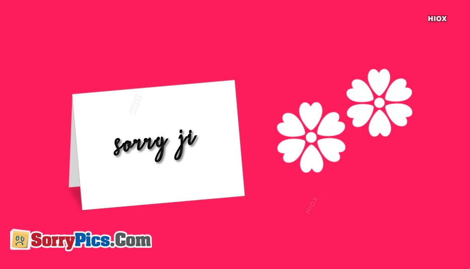 sorry jaan wallpaper,pink,text,font,petal,plant