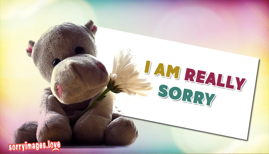 sorry wallpaper for husband,teddy bear,stuffed toy,font,toy,snout