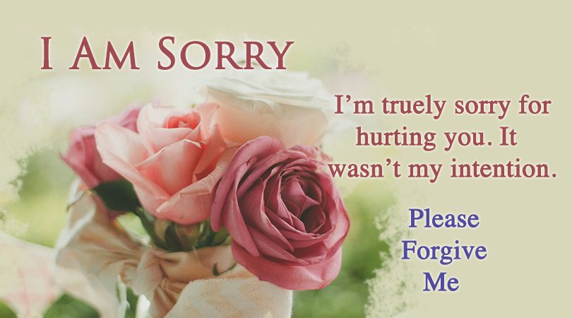 lo siento fondo de pantalla para marido,rosado,flor,rosas de jardín,fuente,texto