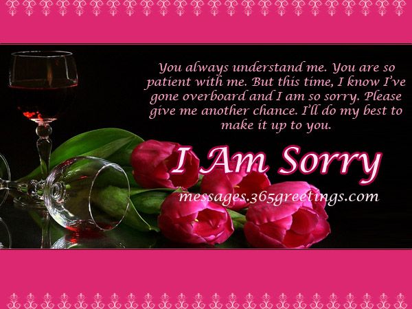 lo siento fondo de pantalla para marido,rosado,texto,pétalo,fuente,flor