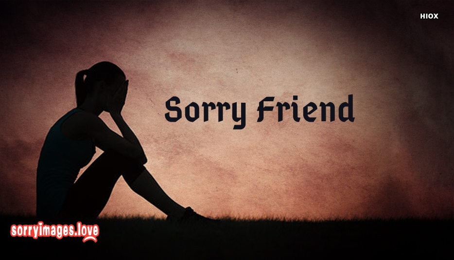 sorry wallpaper for friend,text,font,photography,stock photography,photo caption