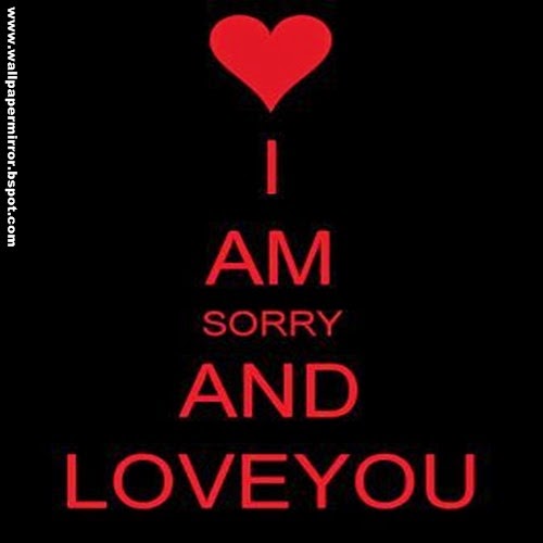 im sorry wallpaper,text,red,font,love,logo