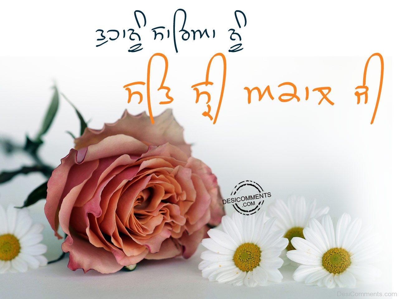 sat sri akal wallpaper,text,flower,cut flowers,pink,font