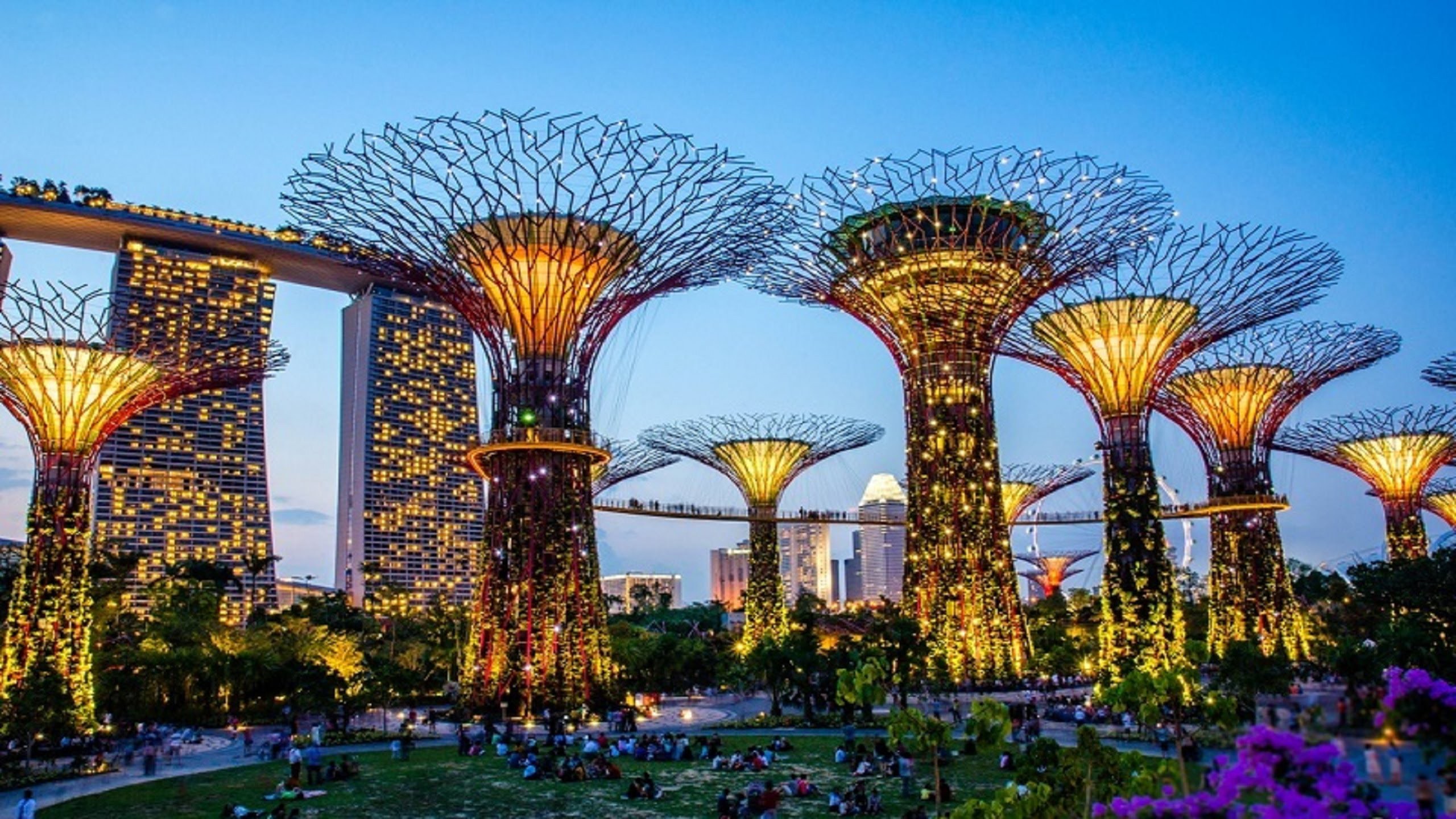 singapur fondo de pantalla hd,naturaleza,área metropolitana,arquitectura,cielo,árbol