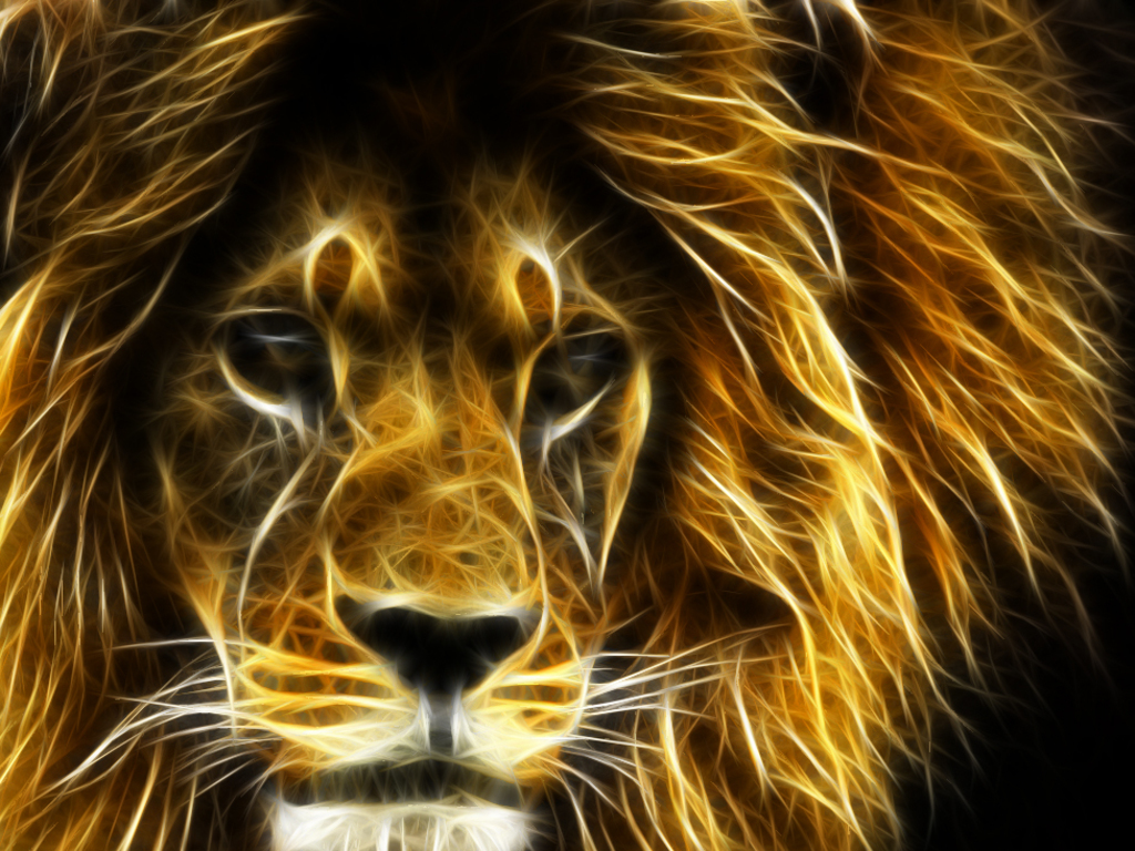 cool lion fondos de pantalla,león,fauna silvestre,felidae,grandes felinos,bigotes