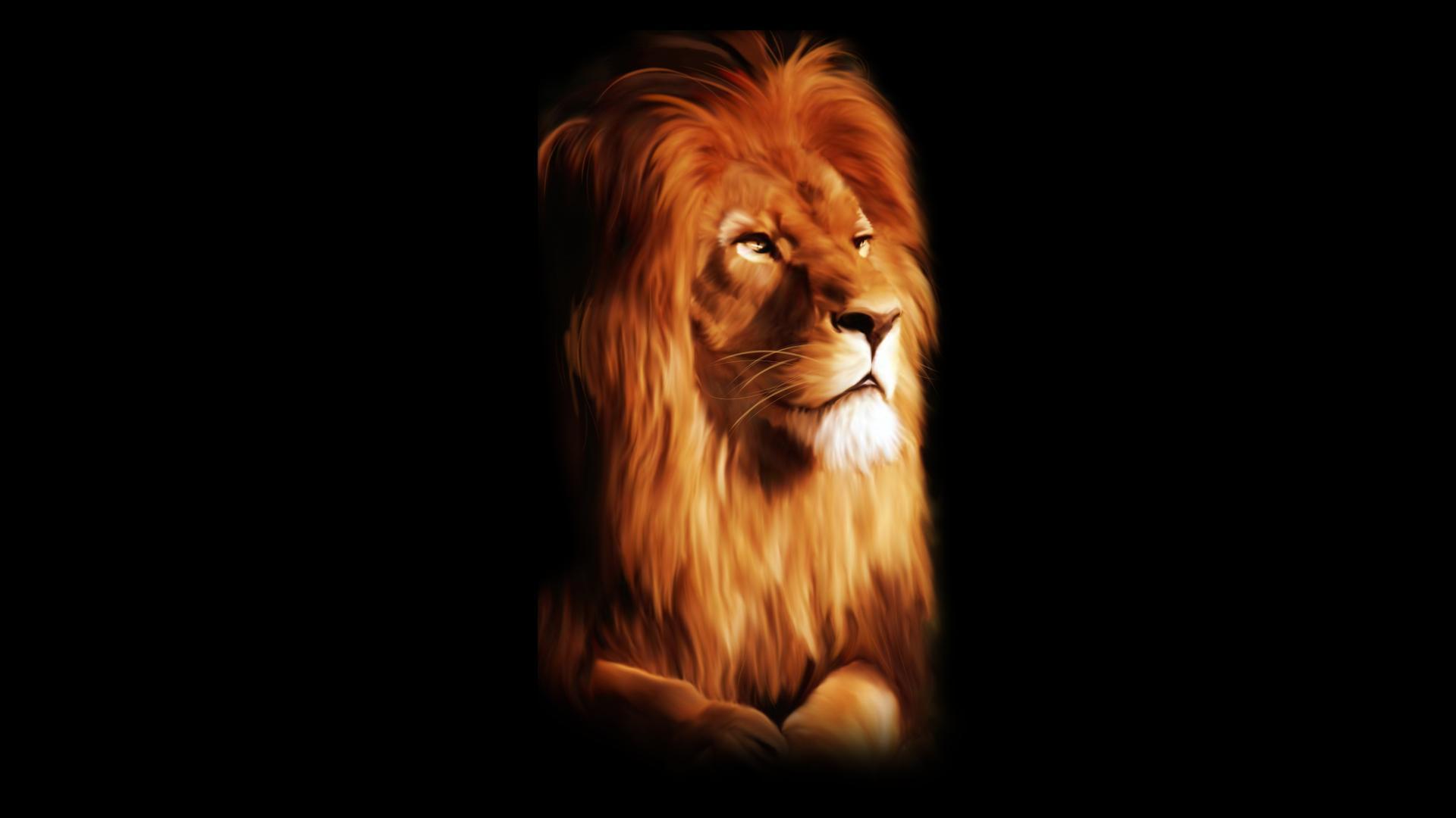 leone arrabbiato hd wallpaper,leone,capelli,felidae,grandi gatti,natura