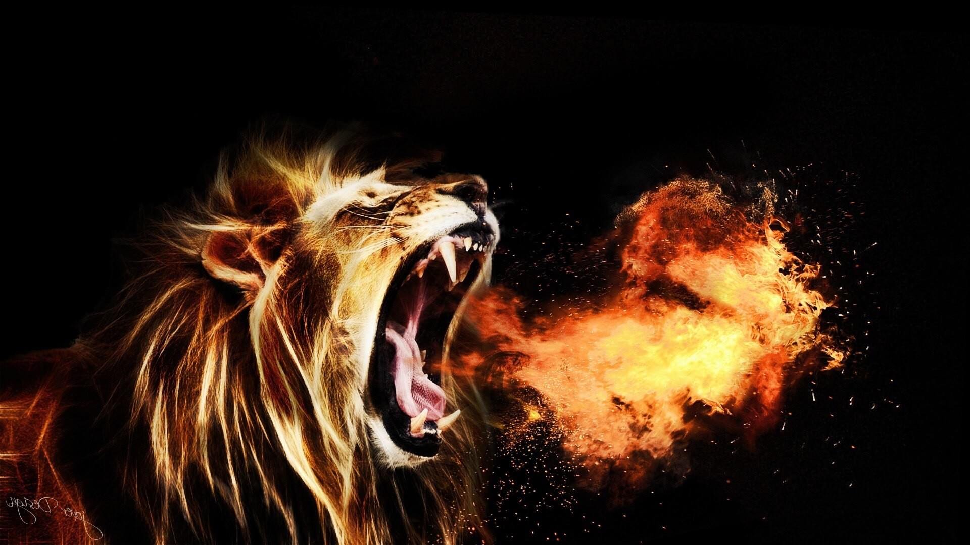 angry lion hd wallpaper,lion,roar,felidae,big cats,darkness