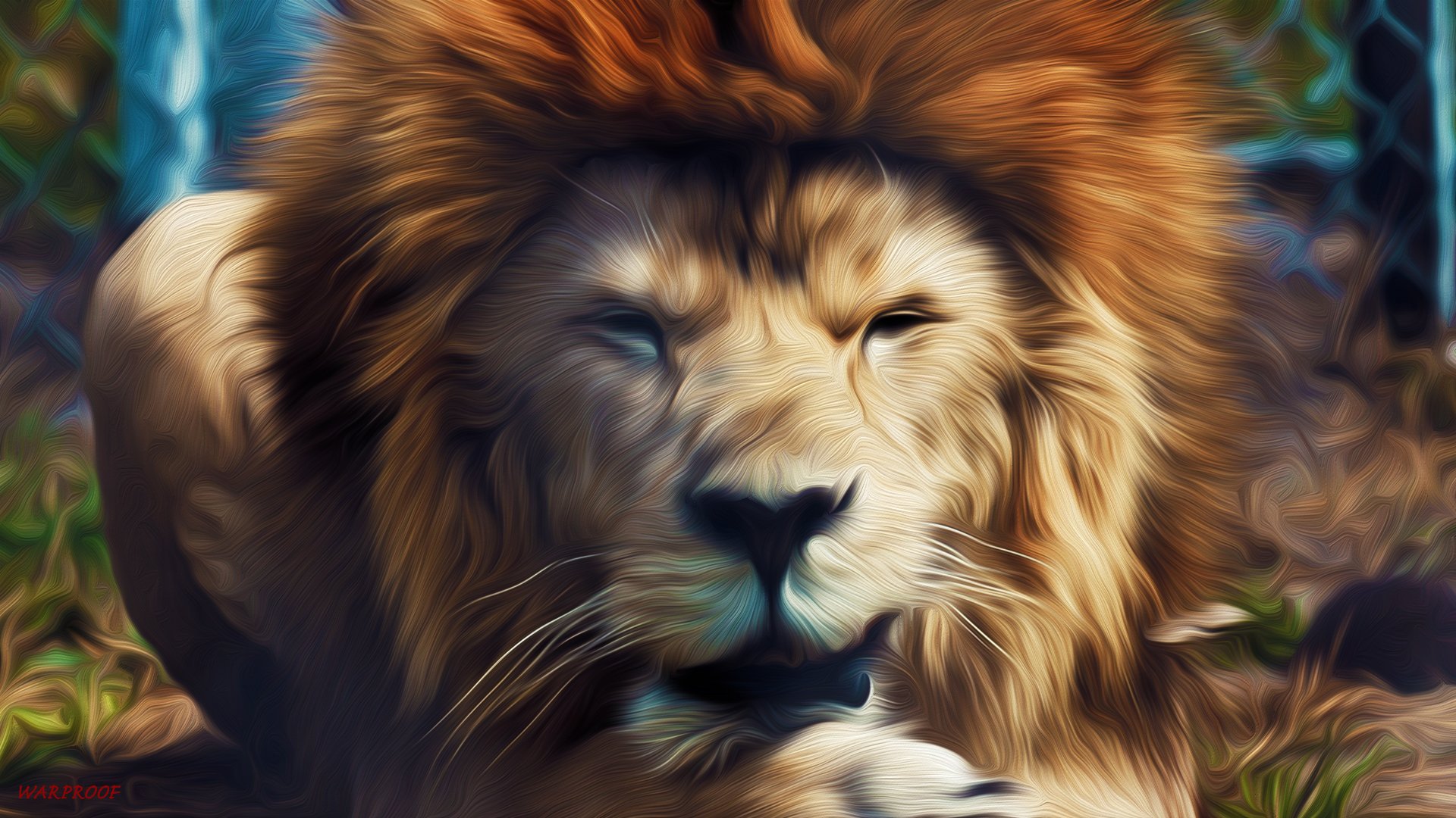 wallpaper singa jantan,vertebrate,lion,mammal,hair,felidae