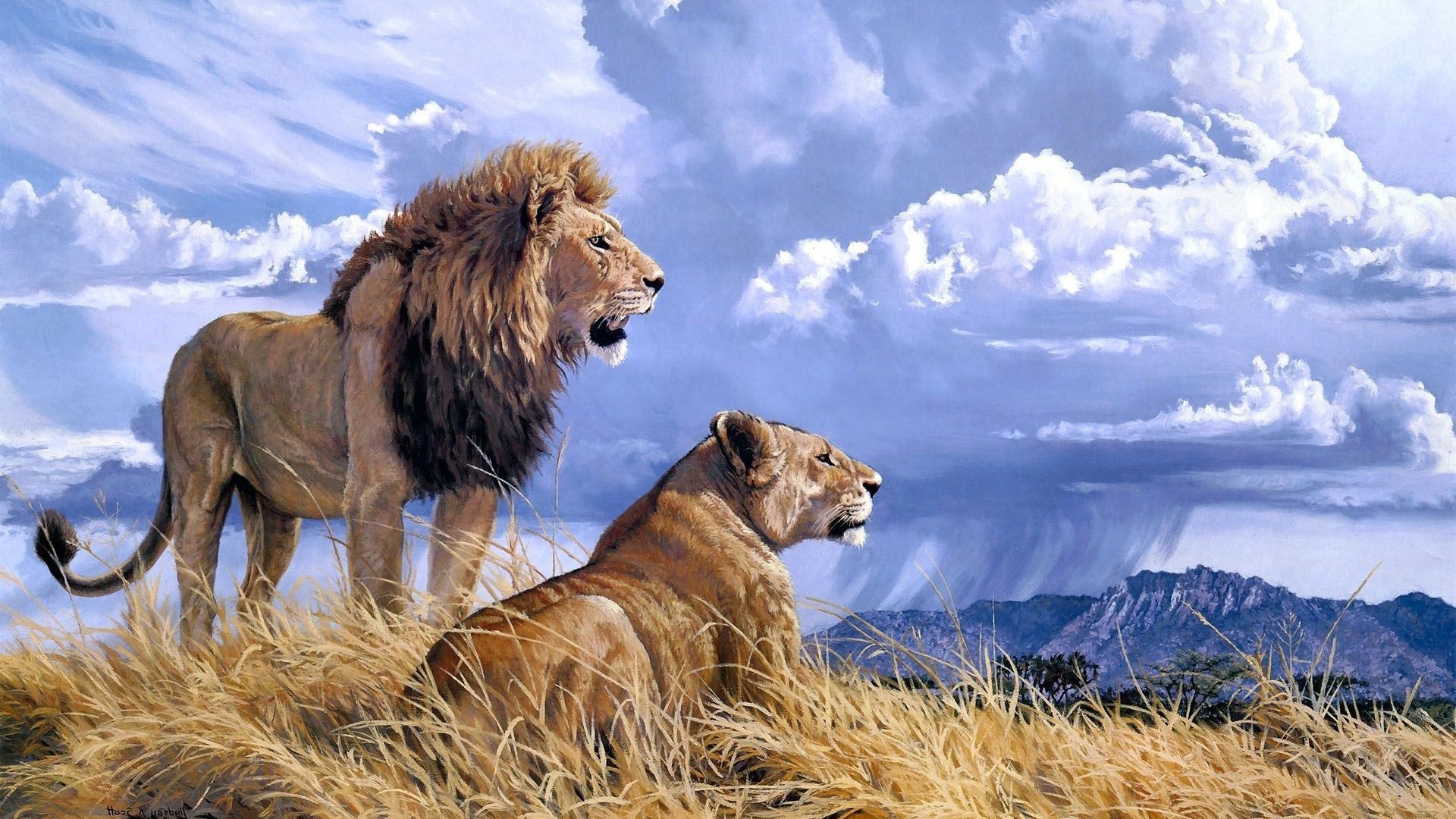 ライオンフルhdの壁紙,野生動物,ライオン,マサイライオン,ネコ科,陸生動物