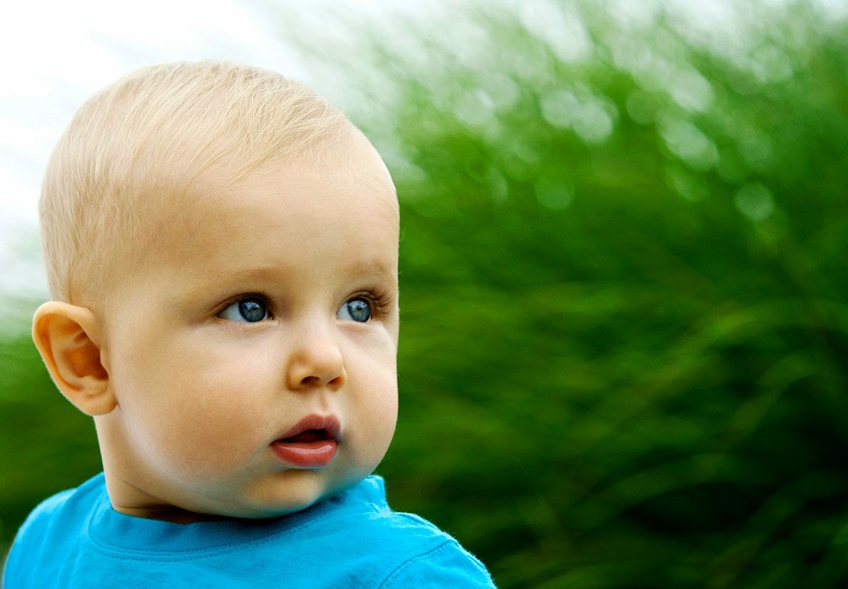 fond d'écran royal boy,enfant,visage,bébé,bambin,vert