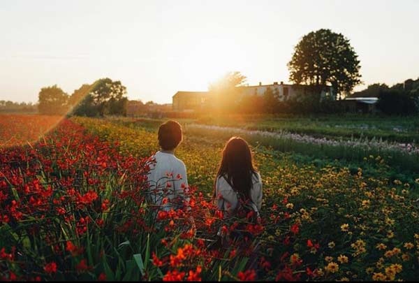 kathniel wallpaper,people in nature,field,natural landscape,meadow,morning