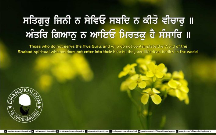 gurbani wallpaper gallery,text,yellow,font,flower,plant