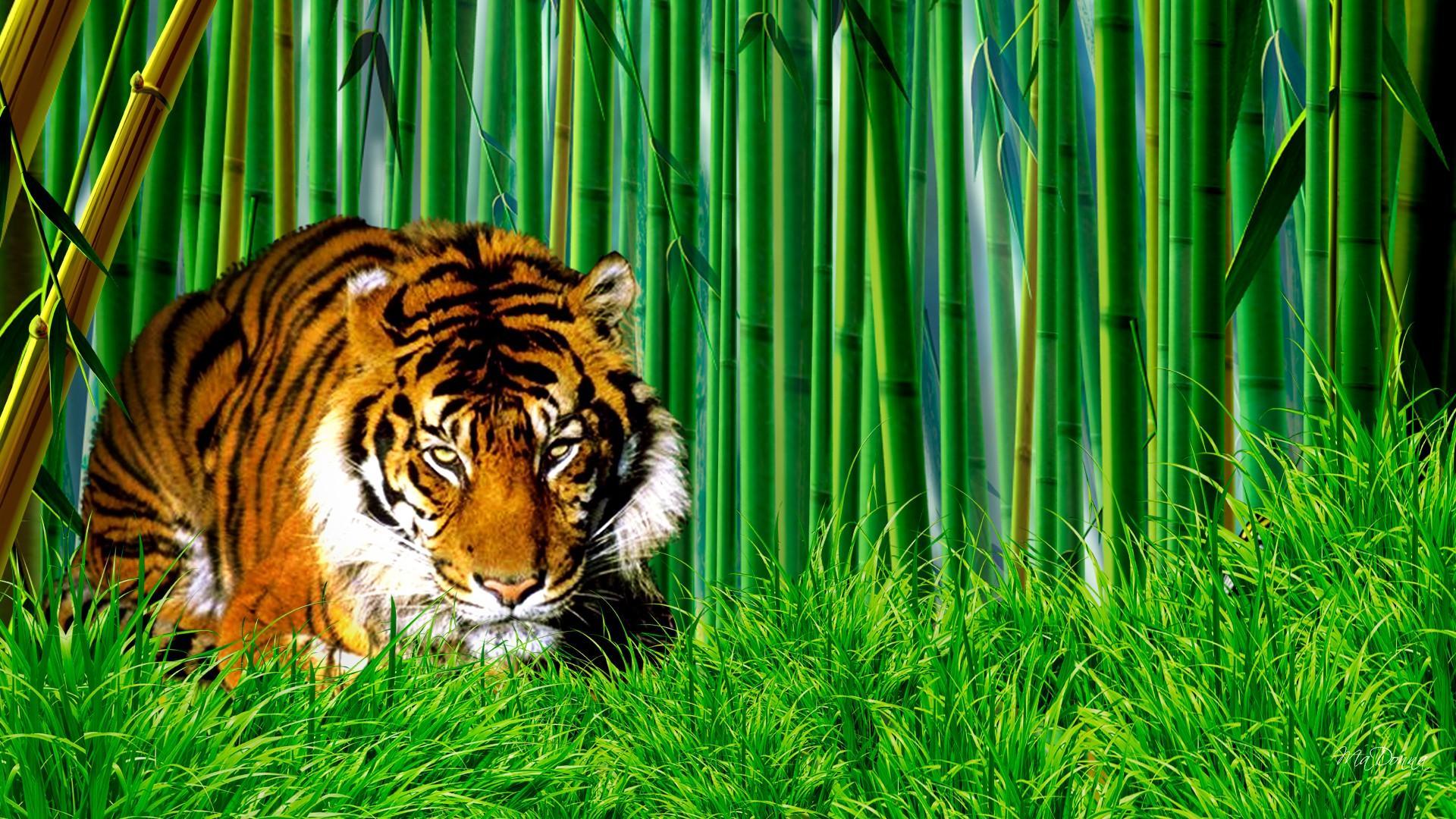 descargar fondo de pantalla harimau bergerak,tigre,fauna silvestre,tigre de bengala,tigre siberiano,animal terrestre