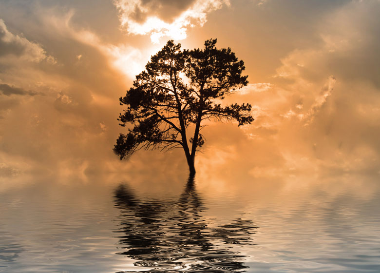 wallpaper marah,sky,nature,natural landscape,tree,reflection