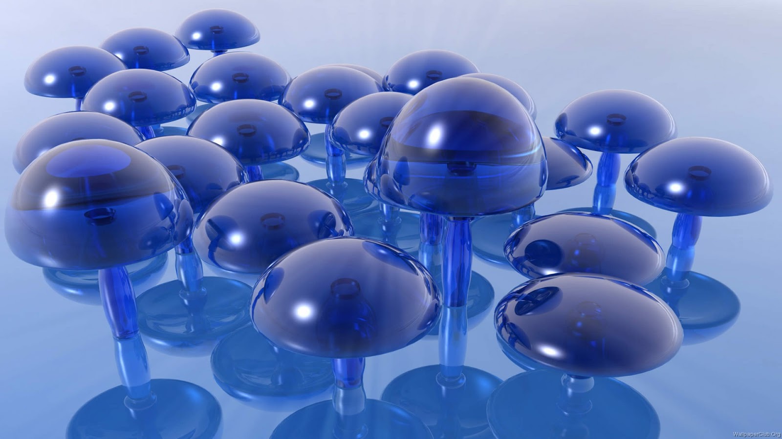 descargar fondo de pantalla harimau bergerak,azul cobalto,azul,esfera,agua,vaso