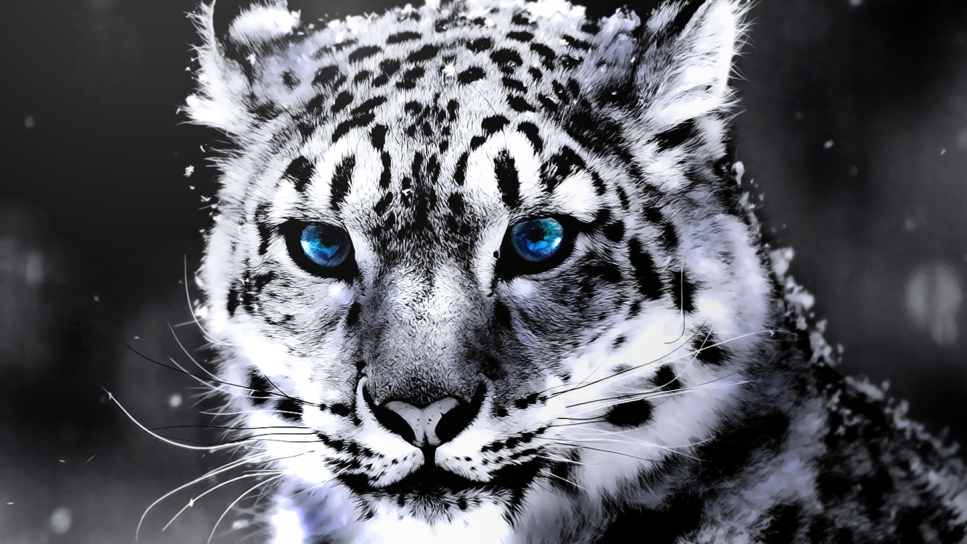 Красивые Фото Животных На Аватарку