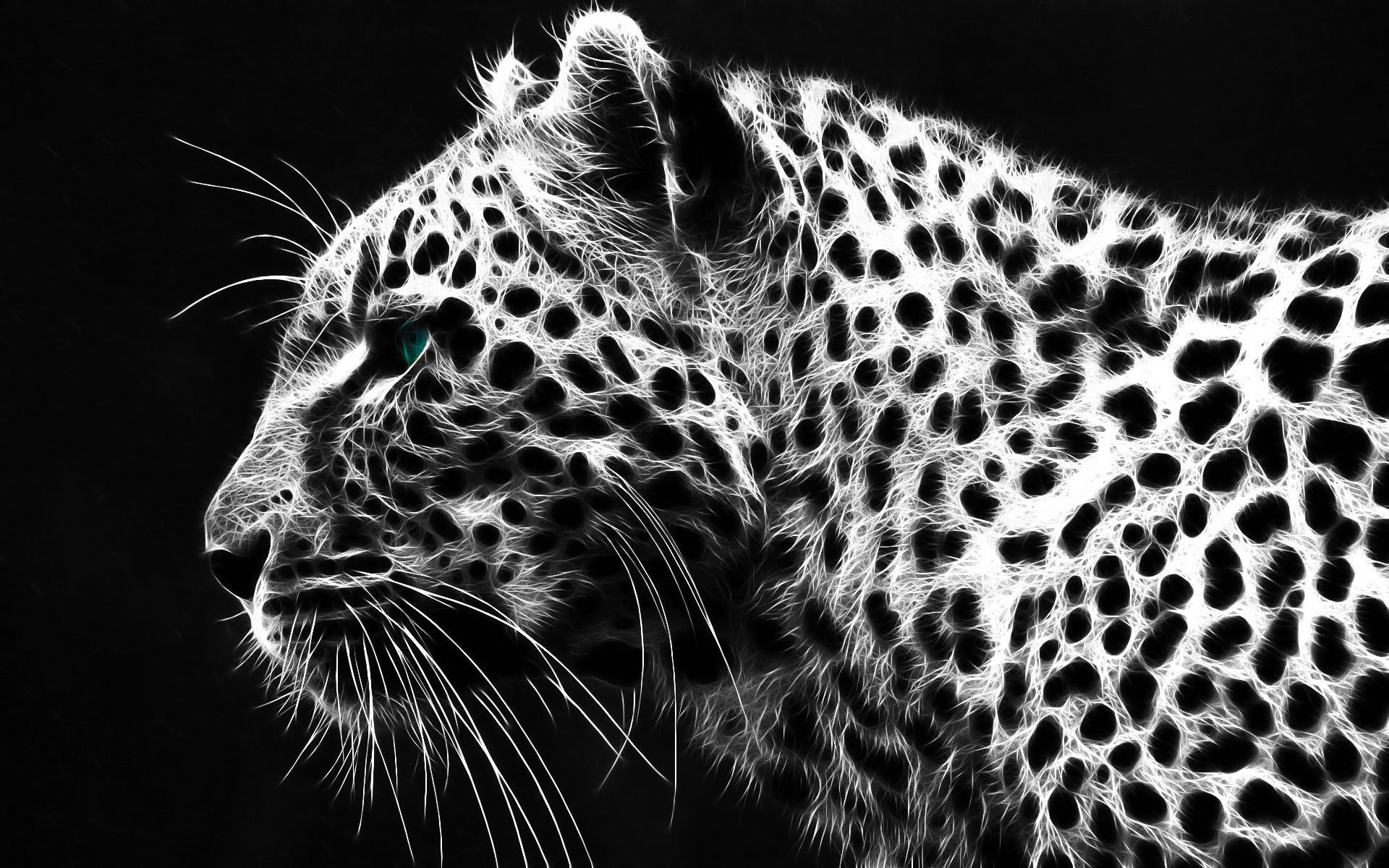 fondos de pantalla macan kumbang,animal terrestre,fauna silvestre,bigotes,leopardo,felidae