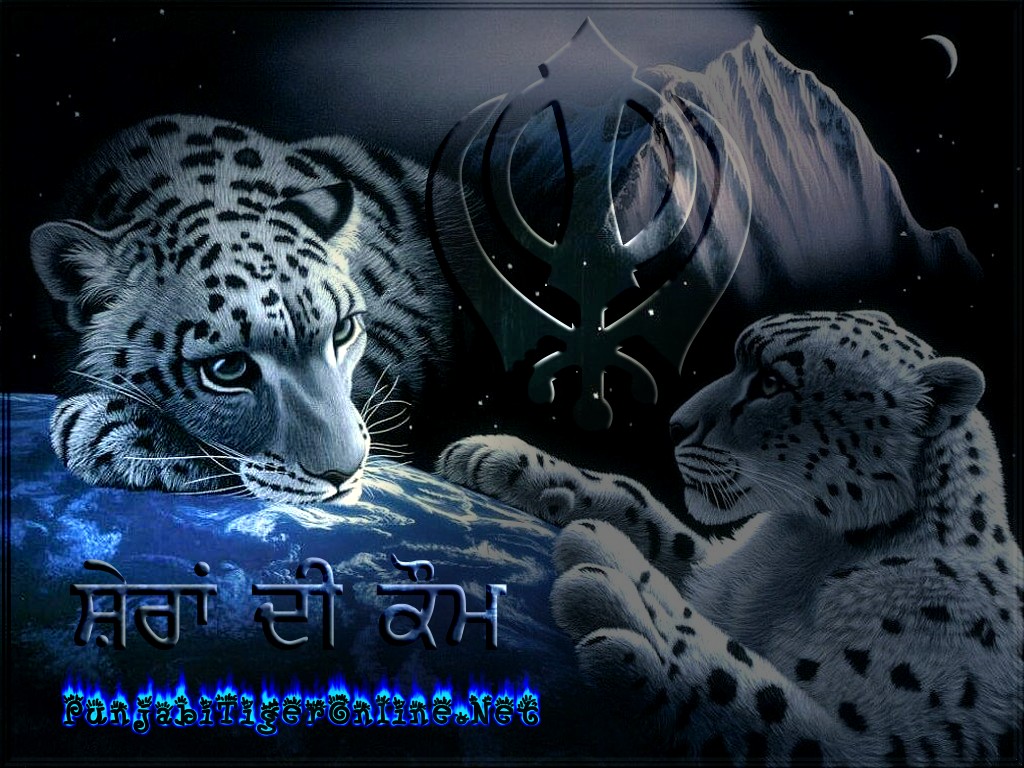 fonds d'écran punjabi sikh,léopard des neiges,félidés,léopard,gros chats,jaguar