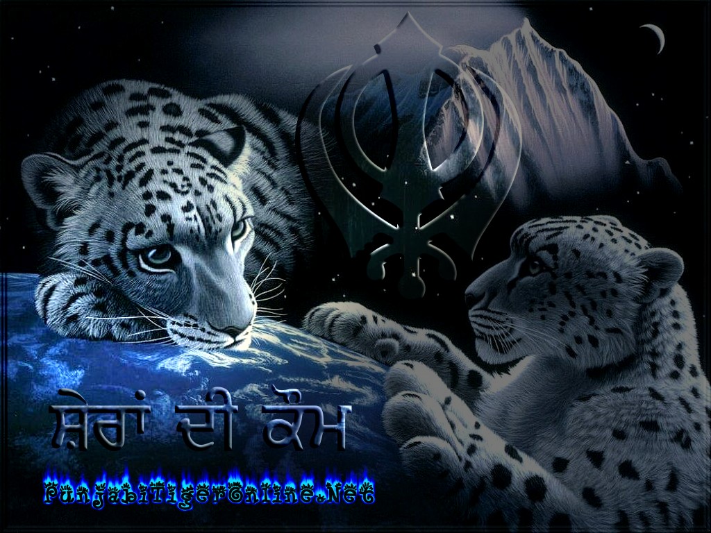 sfondi sikh punjabi,leopardo delle nevi,felidae,leopardo,grandi gatti,giaguaro