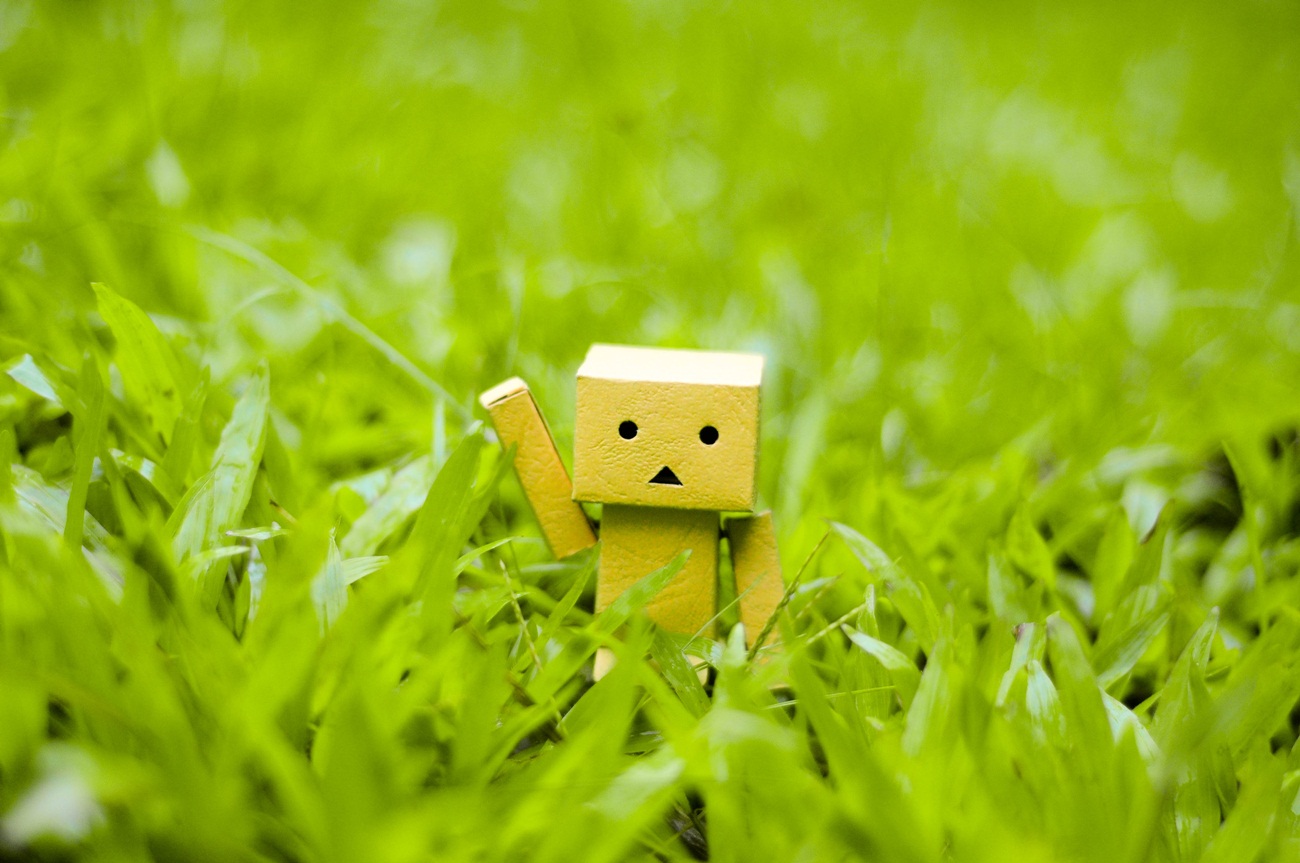 wallpaper boneka kardus,green,grass,plant