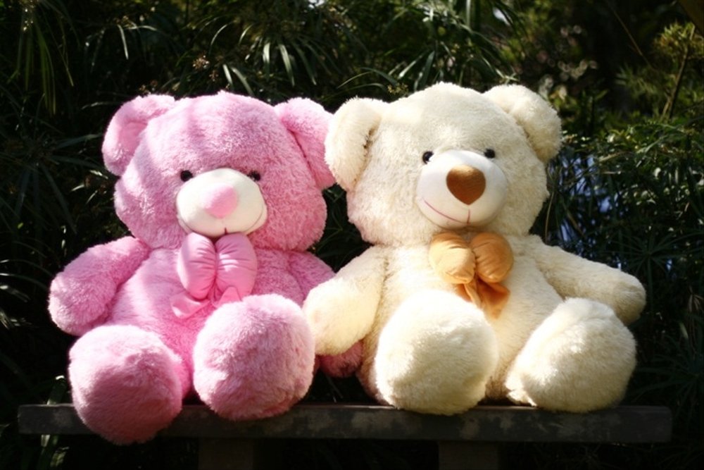 wallpaper boneka pink,stuffed toy,teddy bear,plush,toy,pink