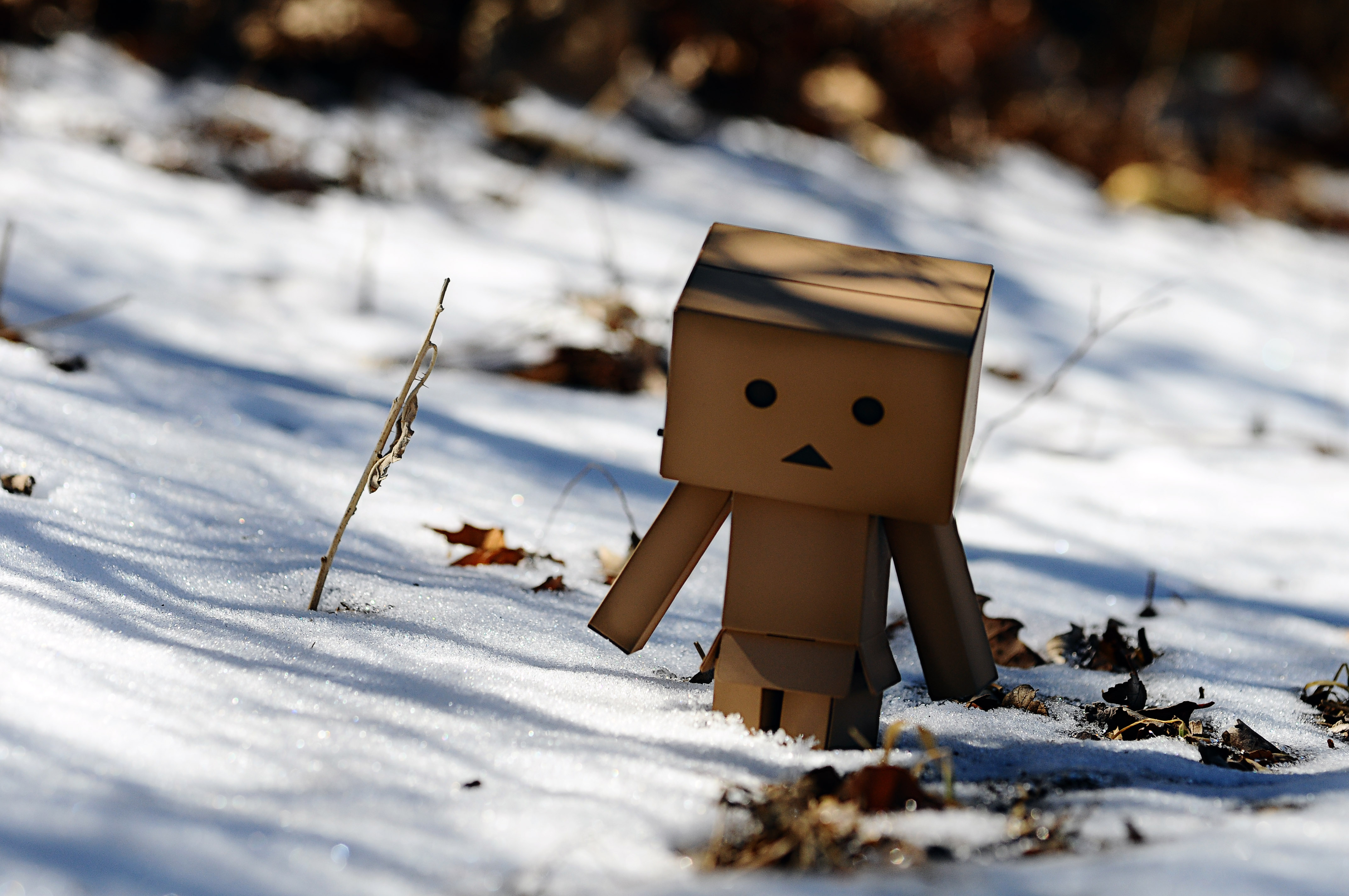 danbo wallpaper,snow,winter,freezing,wood,sky