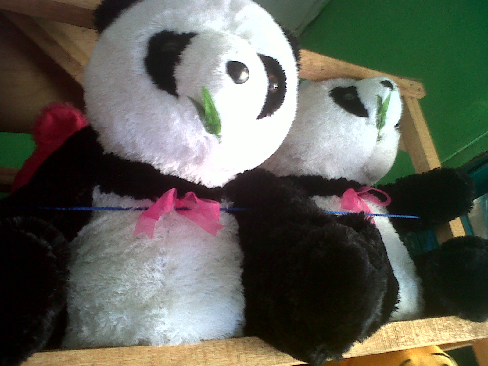papier peint gambar boneka,panda,jouet en peluche,peluche,jouet,textile