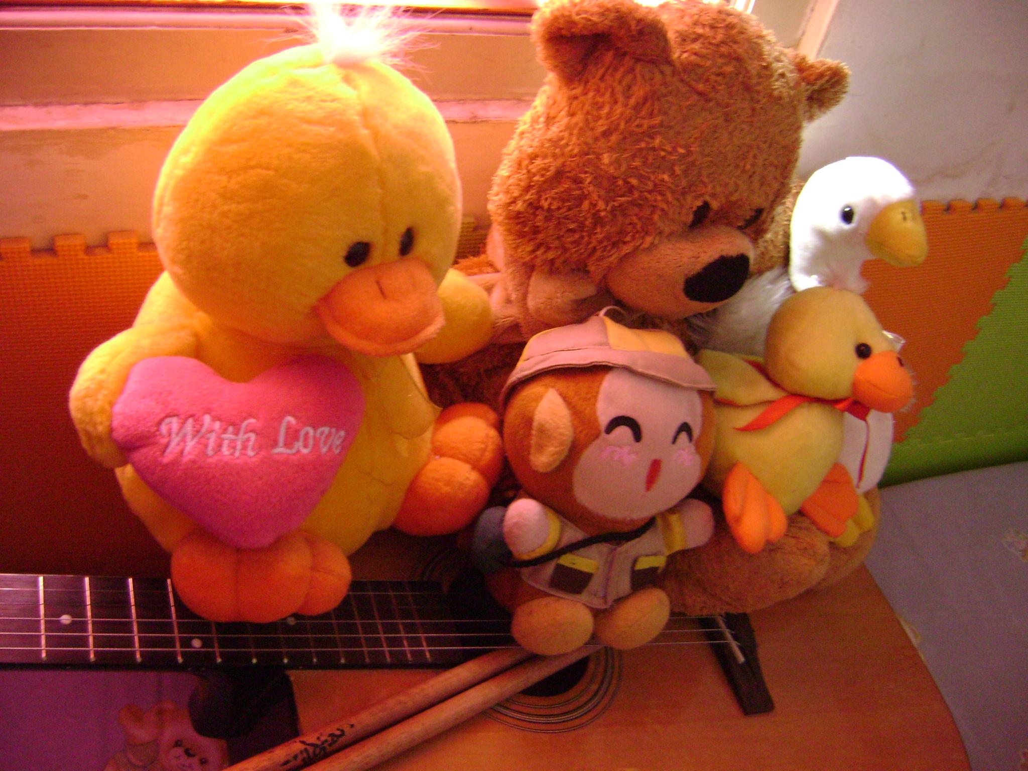 gambar wallpaper boneka,stuffed toy,toy,plush,teddy bear,textile