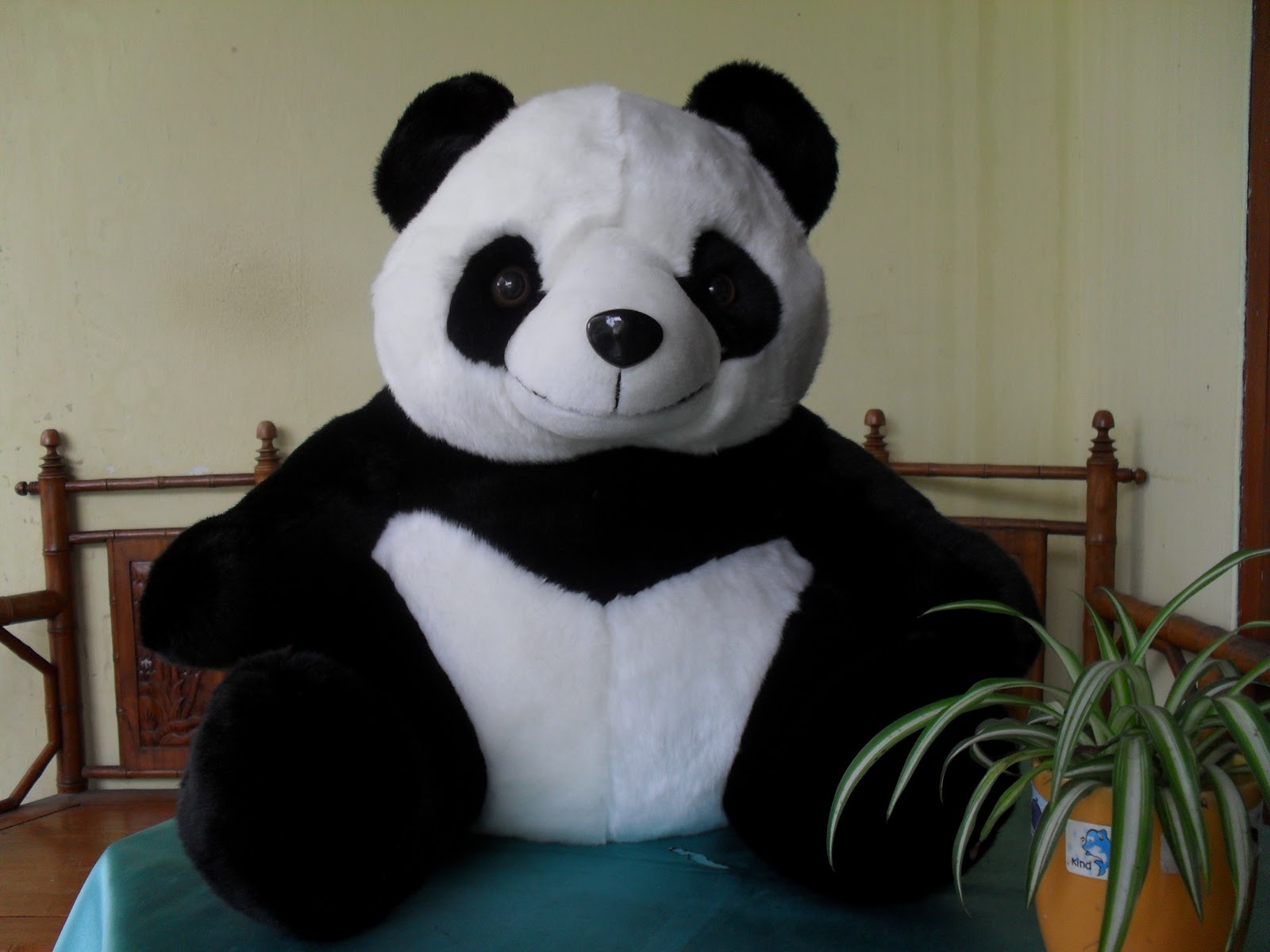 tapete boneka linie,panda,plüschtier,bär,plüsch,spielzeug