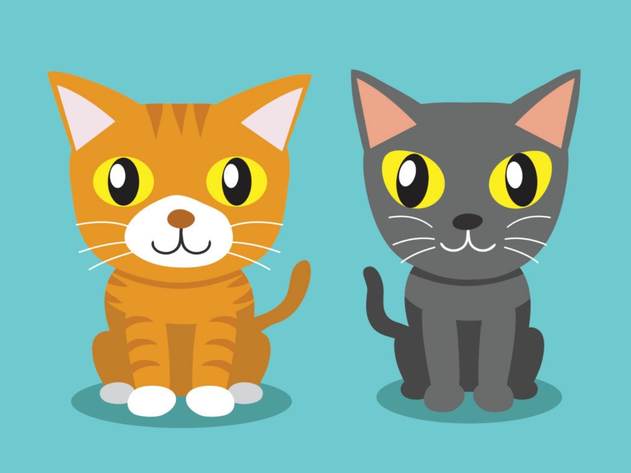 Kucing kartun, kucing, hewan png PNGEgg - image kartun kucing - Oimarypu