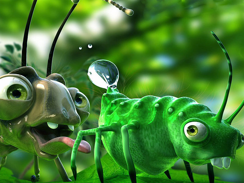 divertido fondo de pantalla 3d,verde,insecto,hocico,camaleón,grillo