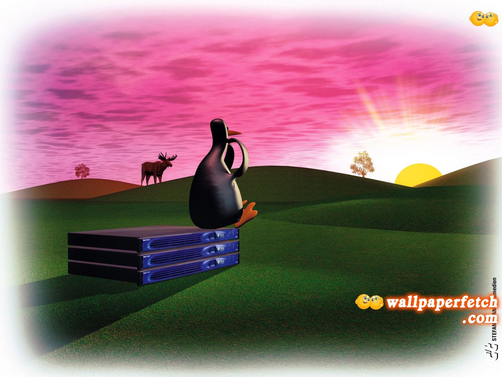 funny 3d wallpaper,cartoon,technology,flightless bird,illustration