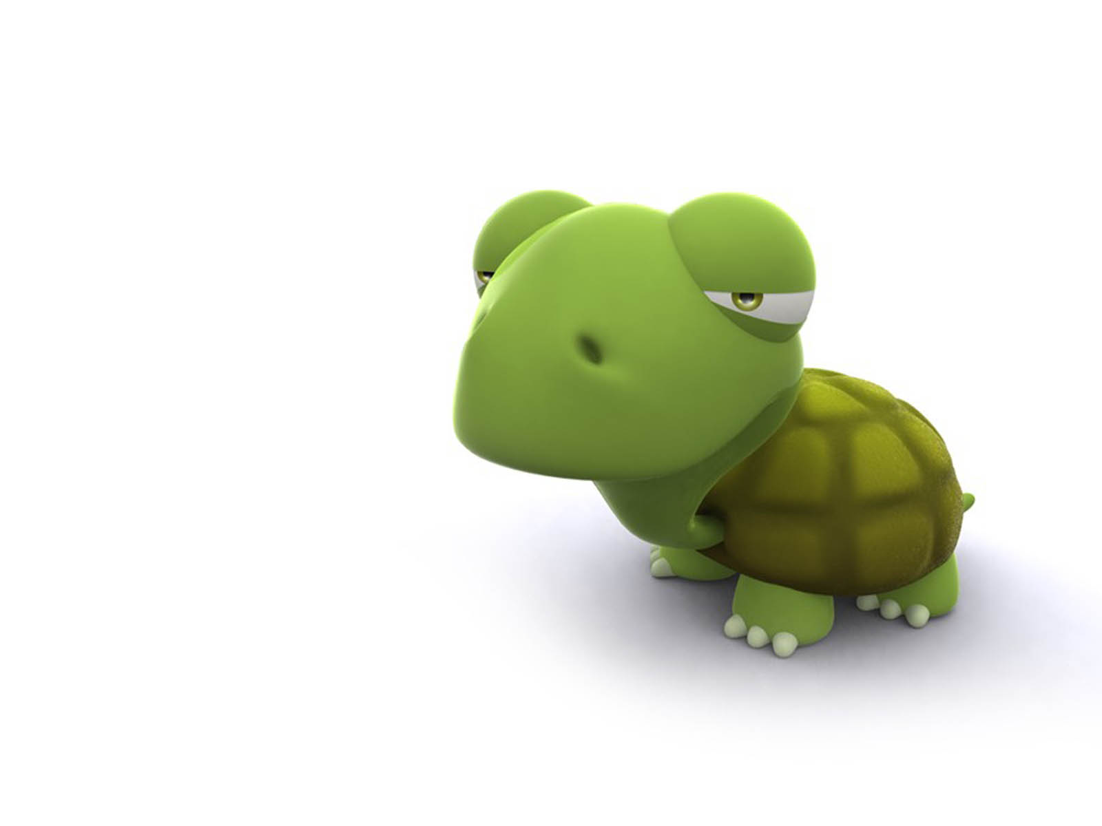 divertido fondo de pantalla 3d,tortuga,tortuga,reptil,verde,juguete