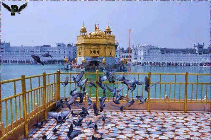 royal jatt wallpaper download,place of worship,temple,tourism,building,shrine