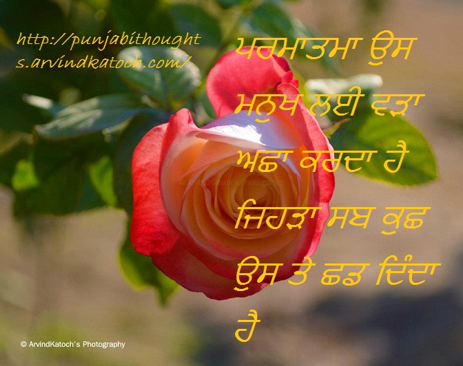 punjabi thought wallpaper,flower,red,petal,plant,valentine's day