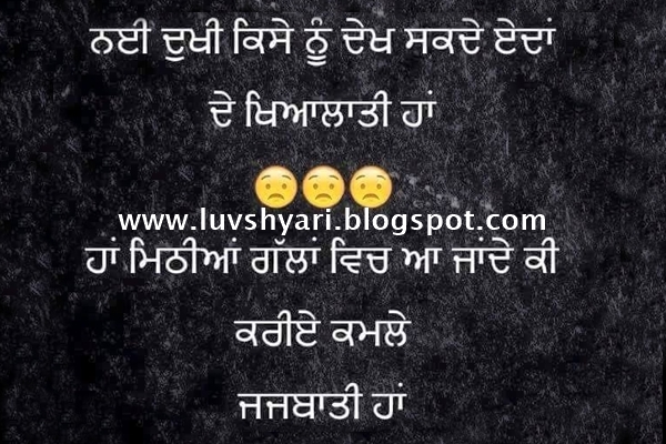 punjabi status wallpaper,text,font,photo caption,organism,photography