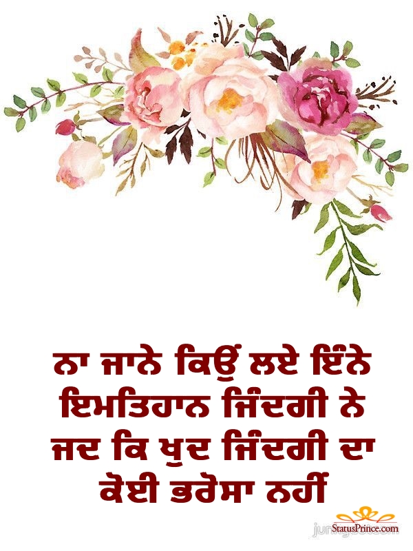Punjabi Att Status Wallpaper Watercolor Pink Flowers WallpaperUse