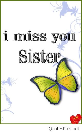 miss u sister wallpaper,text,butterfly,moths and butterflies,organism,plant