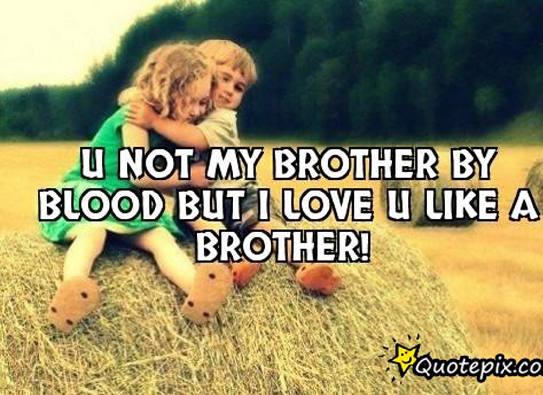 brother and sister wallpapers with quotes,friendship,text,happy,adaptation,photo caption