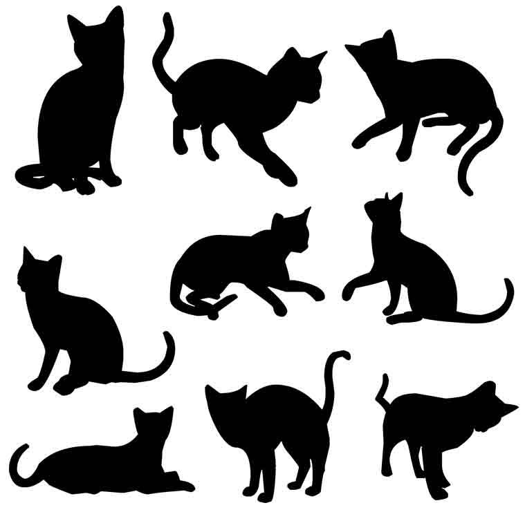 wallpaper kucing anggora persia bergerak,cat,black cat,small to medium sized cats,silhouette,felidae