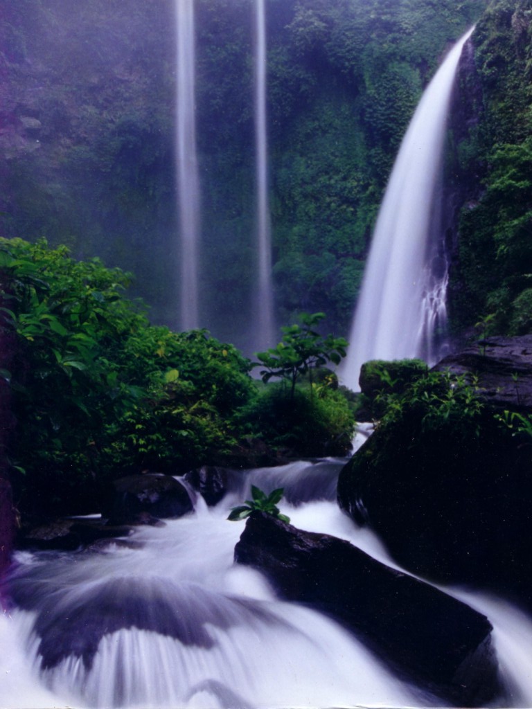 壁紙kucingアンゴラペルシャbergerak,滝,水資源,自然の風景,水域,自然