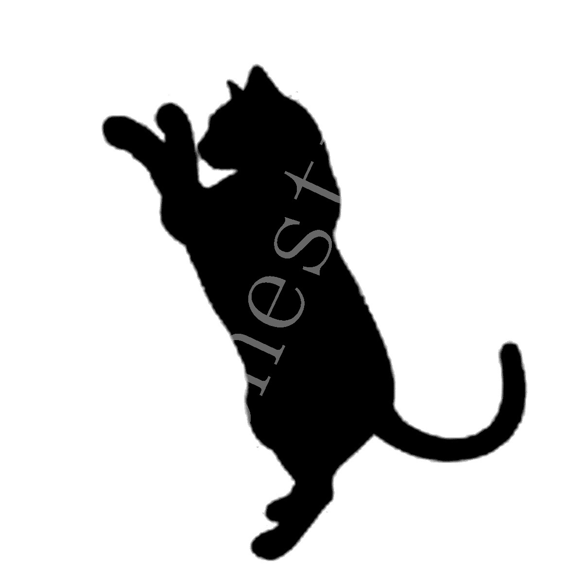 fond d'écran kucing anggora persia bergerak,chat,silhouette,félidés,chats de petite à moyenne taille,chat noir