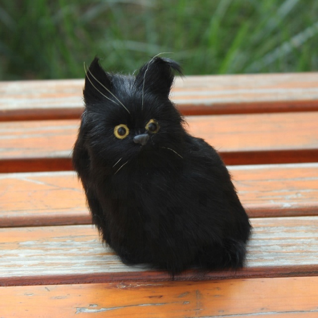 fond d'écran kucing anggora persia bergerak,chat,chat noir,chats de petite à moyenne taille,félidés,noir