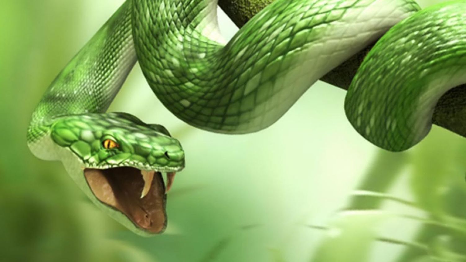 배경 노트북 keren 3d,뱀,비열한,뱀,초록,부드러운 녹색 뱀