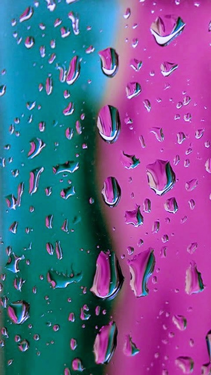 wallpaper lucu iphone,water,pink,dew,drop,moisture